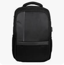 Professional Laptop Backpack with Padded Design