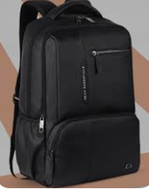 Multi-Compartment Business Laptop Backpack