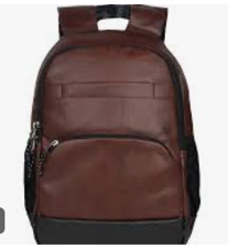 Leather Finish Business Laptop Backpack