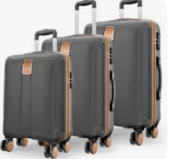 Executive Carbon-Finish Carry-On