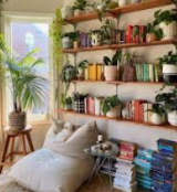 Lush Tropical Split-Leaf Plant