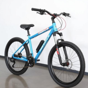 ZoomRide 24T Comfort Bicycle for Boys