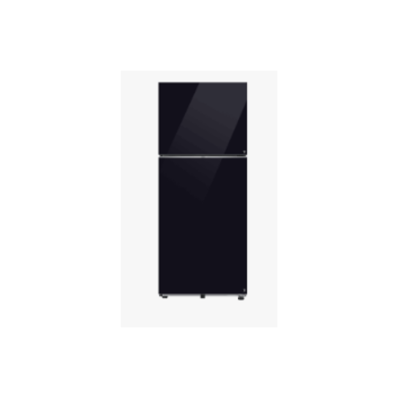 Samsung 396 L 2 Star Frost Free Double Door Refrigerator RT41DB6A4B22HL