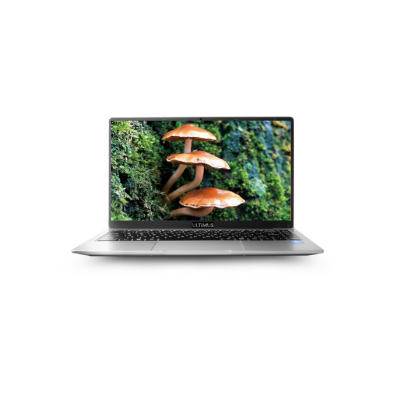Pentium Quad Core Laptop